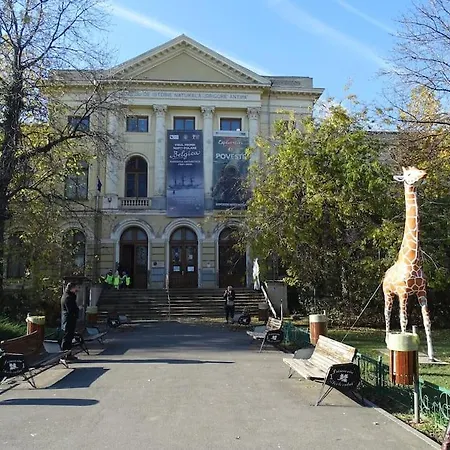 Comfort & Style - Calea Victoriei