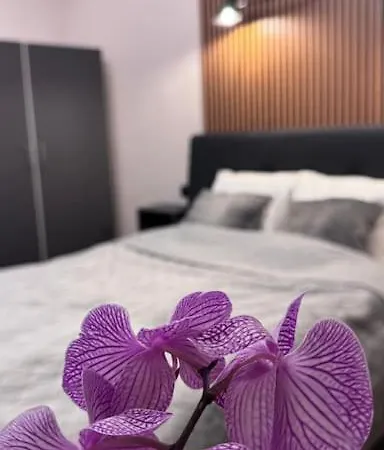 Comfort&style - Calea Victoriei