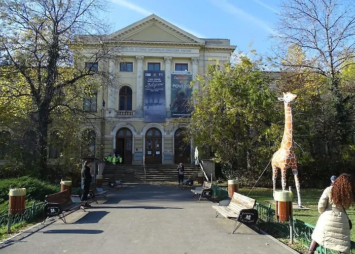 Comfort & Style - Calea Victoriei