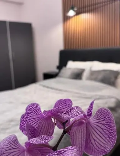 Comfort & Style - Calea Victoriei